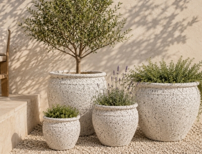 Rustic Coin Pot